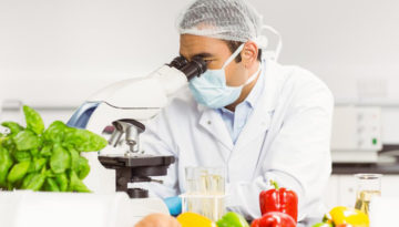 A food scientist working in a lab with a microscope